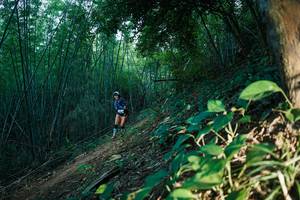 BIB: 
                            <button type="button" onclick="openModal(28124917)" class="btn btn-primary btn-sm float-right btn-popup" data-toggle="modal" data-target=".modal-high-quality">
                        <i class="fas fa-shopping-cart"></i> Add to Cart
                    </button>
                                            <button type="button" onclick="isThisMe(28124917, true)" class="btn btn-success btn-sm float-right btn-popup btn-isme hidden" data-toggle="tooltip" data-placement="bottom" title="นี่คือรูปของคุณใช่ไหม คลิกที่นี่เพื่อเอาเข้าอัลบั้ม">
                        <i class="fas fa-plus"></i> Add to album
                    </button>
                    <button type="button" onclick="isThisMe(28124917, false)" class="btn btn-warning btn-sm float-right btn-popup btn-isnotme hidden">
                        <i class="fas fa-ban"></i> Remove from album
                    </button>